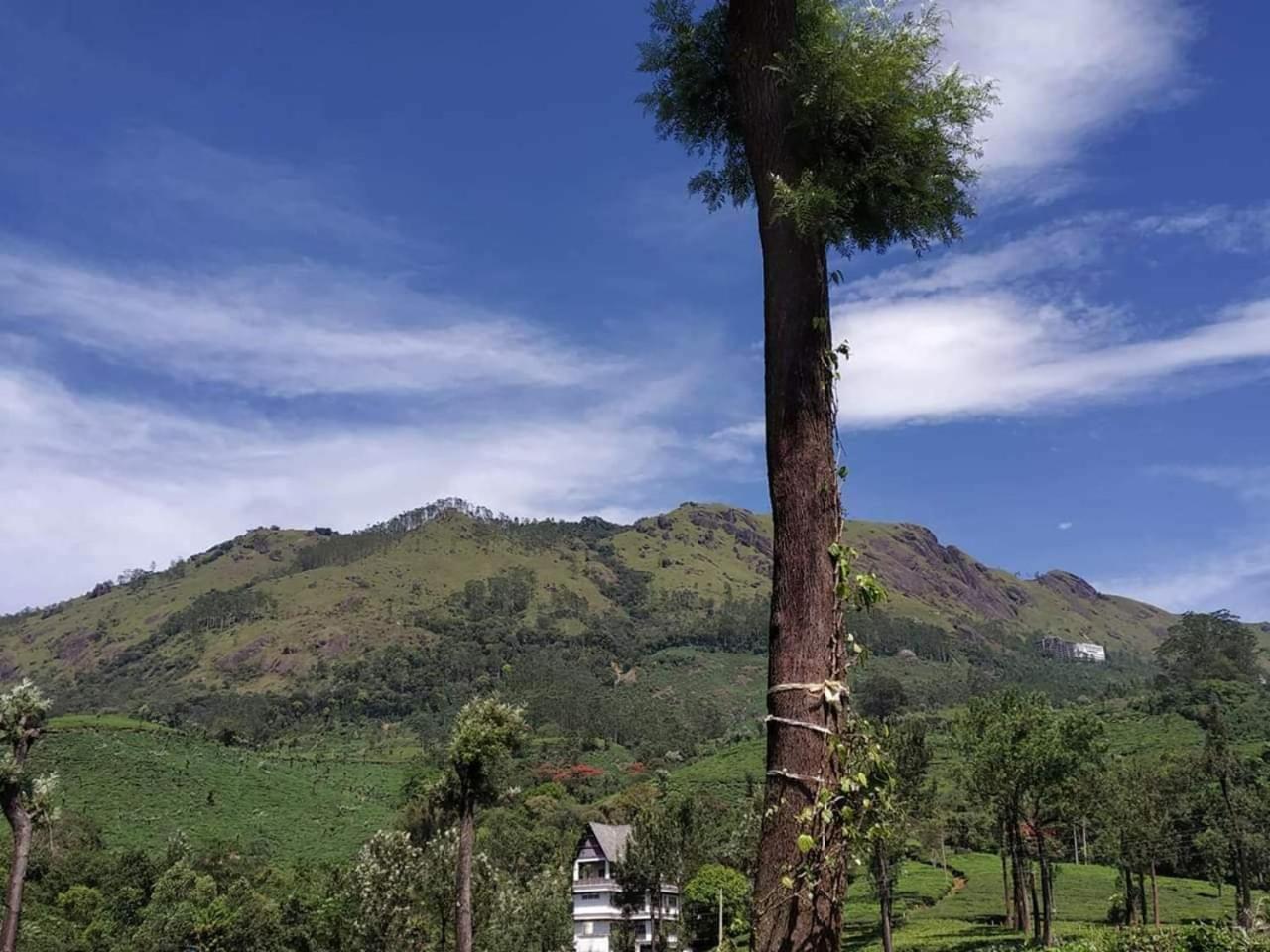 Gruenberg Tea Plantation Haus Bed and Breakfast Munnar Eksteriør billede